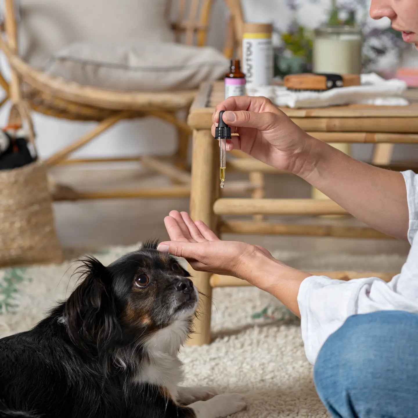 Huile de soin pour chien (peau et poils) - Toutoustore 